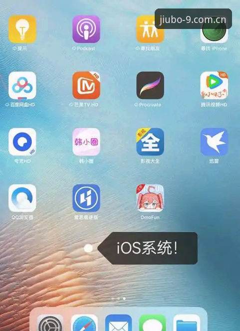 九博体育平台iOS版下载安装完整指南：从入门到精通